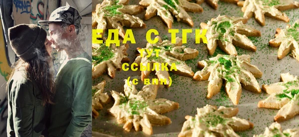 соль ск Тайга
