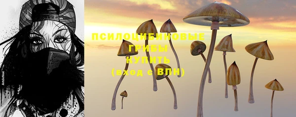 соль ск Тайга
