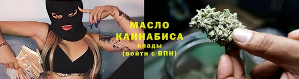 соль ск Тайга