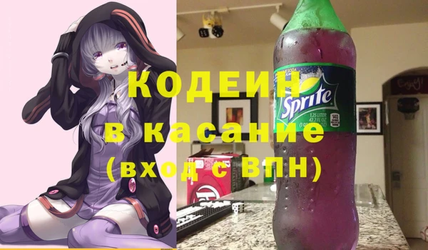 соль ск Тайга