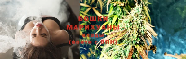 соль ск Тайга