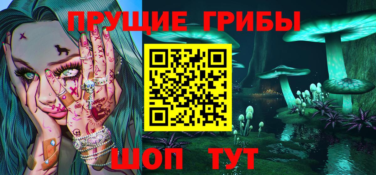 Псилоцибиновые грибы MAGIC MUSHROOMS  Галлюциногенные грибы Cubensis  Калуга  Вход с VPN 