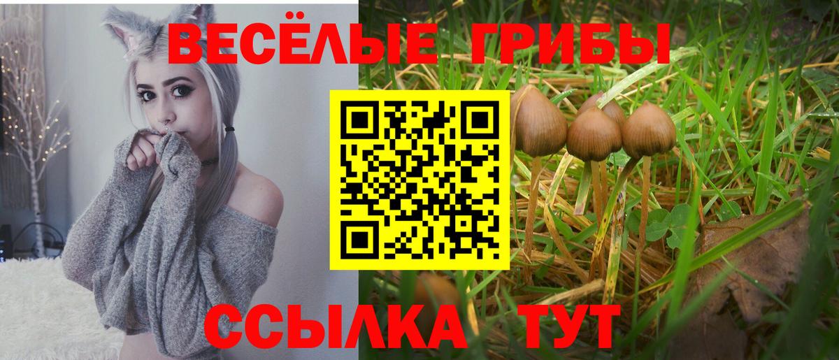 Галлюциногенные грибы Magic Shrooms Калуга